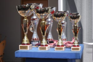 Natjecanje u pripremanju kotlovine i šahovski turnir dani grada  Oroslavja 2018